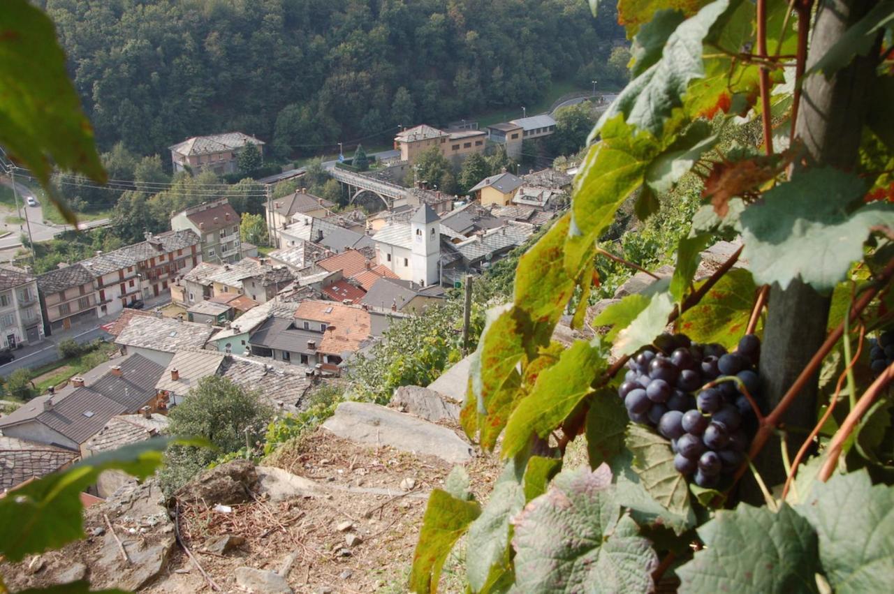 Pomaretto Il Cassero المظهر الخارجي الصورة